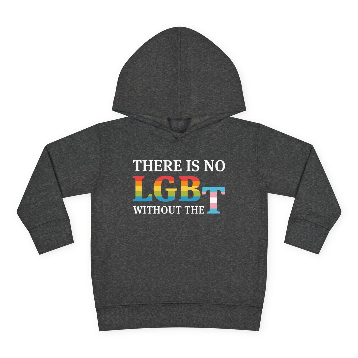 "There Is No LGB Without the T" Toddler Hoodie