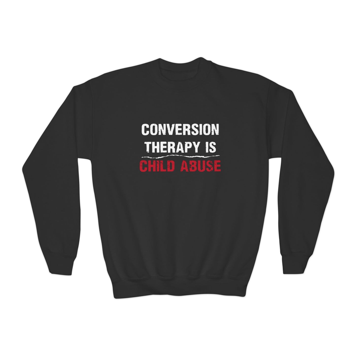 “Conversion Therapy” Youth Sweatshirt