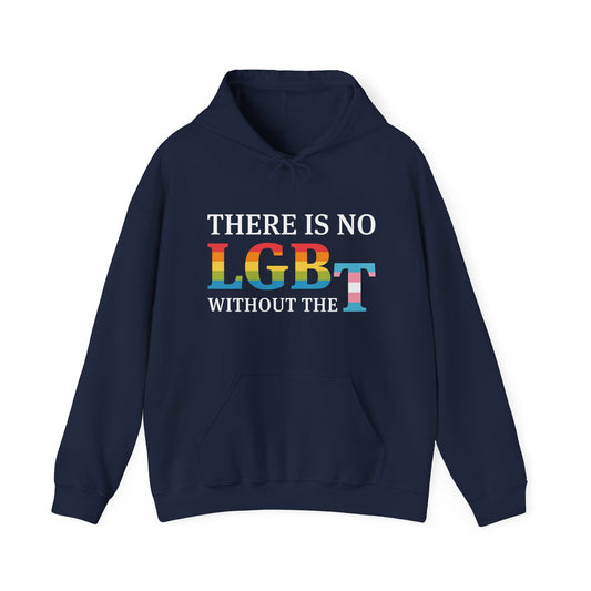 “There Is No LGB Without the T” Unisex Hoodie